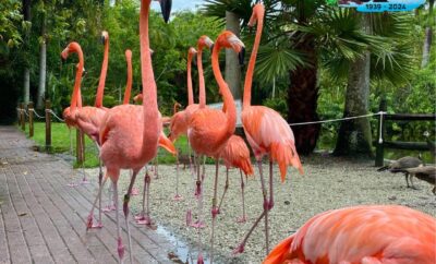 Unique Animal Encounters
